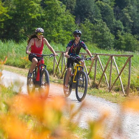 I Laghee Casette Breva E Tivano -Garden-Parking-Lake View - Bike Friendly Holiday House Colico Exteriér fotografie