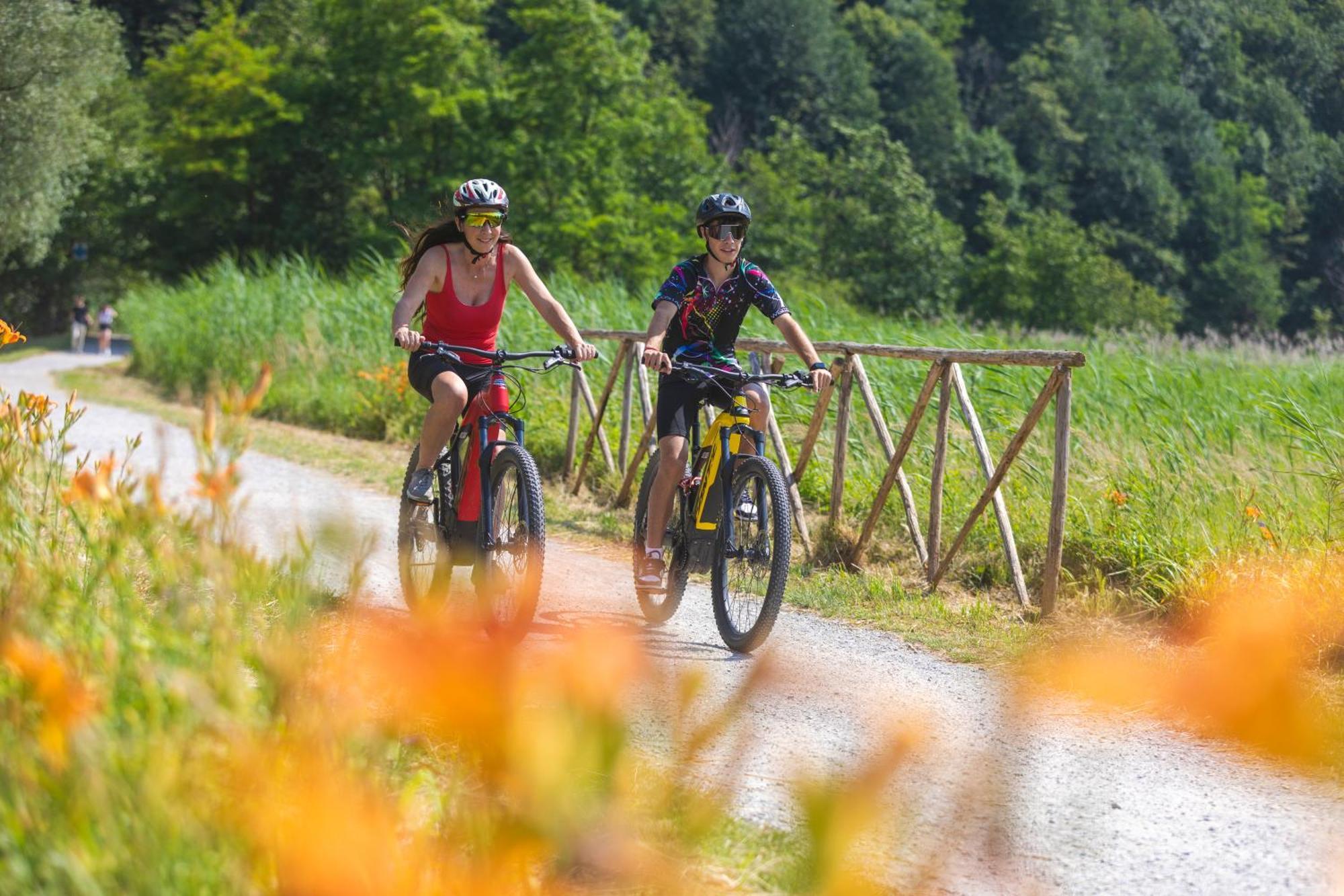 I Laghee Casette Breva E Tivano -Garden-Parking-Lake View - Bike Friendly Holiday House Colico Exteriér fotografie